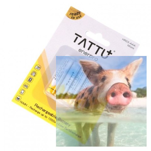 AAA 1.2V 800mAh NiMh Tattu enerpro - 4szt AAA 1.2V 800mAh NiMh Tattu enerpro - 4szt