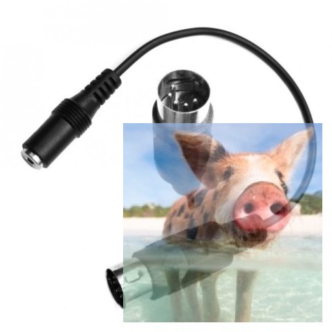 Adapter Multiplex DIN5 do symulatora AeroSIM RC