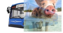 Autobus - POSERWISOWY (Uszkodzona elektronika)
