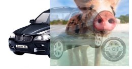 BMW X5 (1:18) 8km/h z prawdziwą kierownicą - POSERWISOWY (Uszkodzona elektronika)