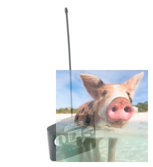 Bentley Continental Coupe 1:14 27MHz RTR - POSERWISOWY (sprawny, brak opakowania)