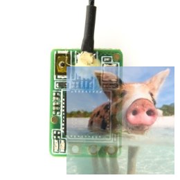 FrSky XM ACCST 2.4GHz 16CH SBUS mini odbiornik