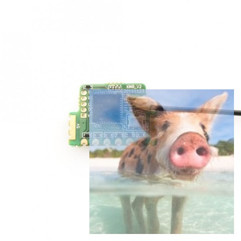 FrSky XMR ACCST 2.4GHz 6CH SBUS do modeli halowych