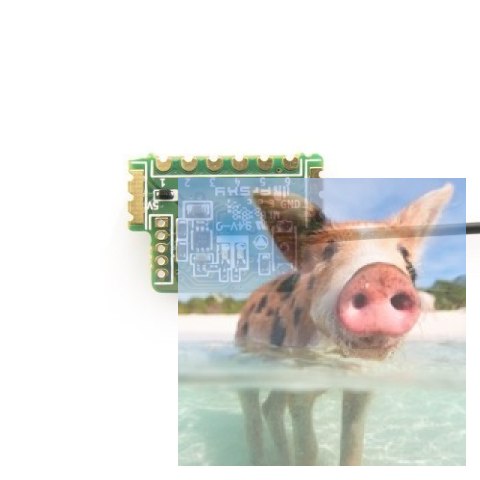 FrSky XMR ACCST 2.4GHz 6CH SBUS do modeli halowych