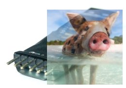 FrSky STK - Smart Tool Kit dla S.Port