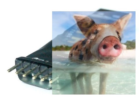 FrSky STK - Smart Tool Kit dla S.Port