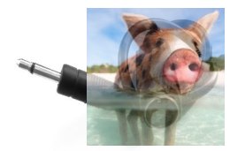 Kabel do symulatora Esky