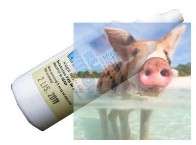 Klej do drewna Wikol 10g