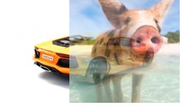 Lamborghini LP700-4 (1:14) z prawdziwą kierownicą - POSERWISOWY (Uszkodzona elektronika, nie skręca w lewo)