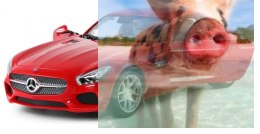 Mercedes-AMG GT 1:14 RTR (zasilanie na baterie AA) - Czerwony - POSERWISOWY