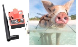 Moduł R9M + odbiornik R9 + Super 8 antena + T Pattern Dipole antena (wersja europejska)