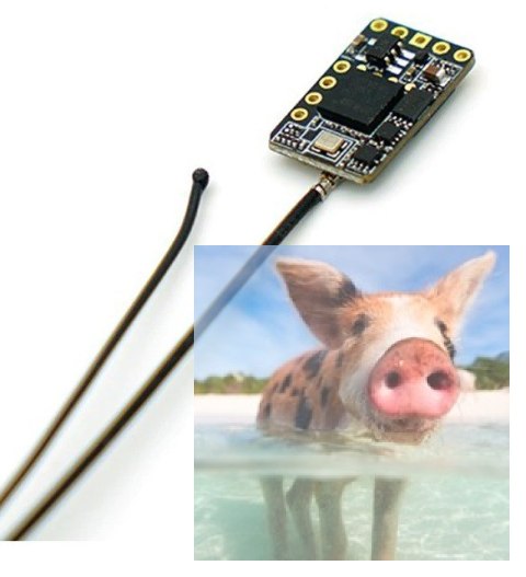 Moduł R9M + odbiornik R9 + Super 8 antena + T Pattern Dipole antena (wersja europejska)