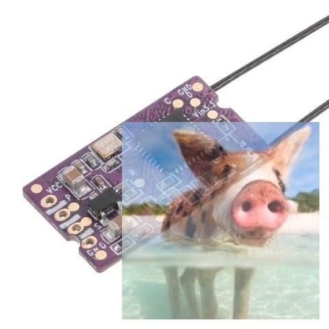 Odbiornik FlySky FS-X14S