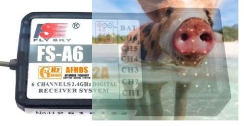 Odbiornik FlySky FS-A6 6CH 2.4GHz