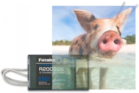Odbiornik Futaba R2006GS 2.4GHz 6CH S-FHSS Odbiornik Futaba R2006GS 2.4GHz 6CH S-FHSS