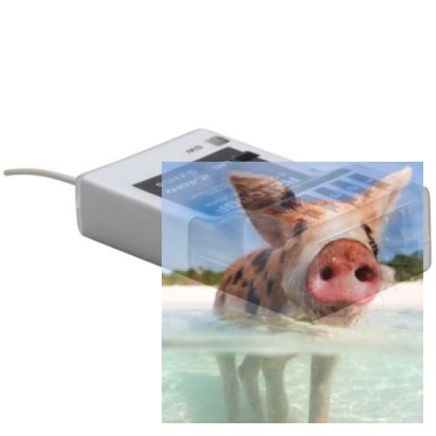 Odbiornik Futaba R2106GF 2.4GHz 6CH S-FHSS