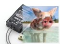 Odbiornik Futaba R7003SB 2.4GHz FASSTest 3CH S-BUS2 HV