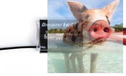 Odbiornik GR-12L 6CH SUMD+T 2.4GHz HoTT