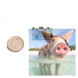 Odbiornik GR-12SH+ 6CH 2.4GHz HoTT