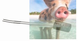 Odbiornik GR-18 9CH 2.4GHz 3G 3A