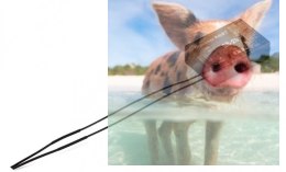 Odbiornik GR-24 12CH 2.4GHz HoTT