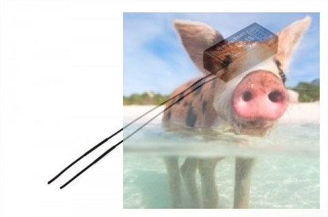 Odbiornik Graupner GR-16 8CH 2.4GHz HoTT