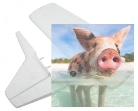 Ogon (bez dekoracji) - TW/747103