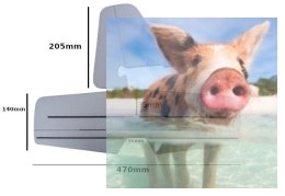 Ogon (bez dekoracji) - TW/747403