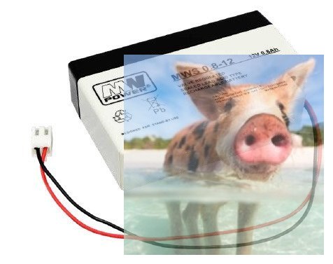 Pb 12V 0.8Ah bezobsługowy (waga 0.57kg, max. prąd ład. 0.2A, max. prąd rozł. 7A)