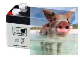 Pb 12V 1.3Ah bezobsługowy (waga 0.57kg, max. prąd ład. 0.3A)