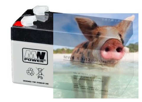 Pb 12V 1.3Ah bezobsługowy (waga 0.57kg, max. prąd ład. 0.3A)