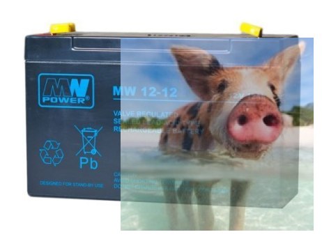 Pb 12V 12Ah bezobsługowy (waga 3.25kg, max. prąd ład. 4A, max. prąd rozład. 135A)