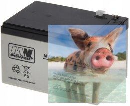 Pb 12V 12Ah bezobsługowy (waga 3.25kg, max. prąd ład. 4A)