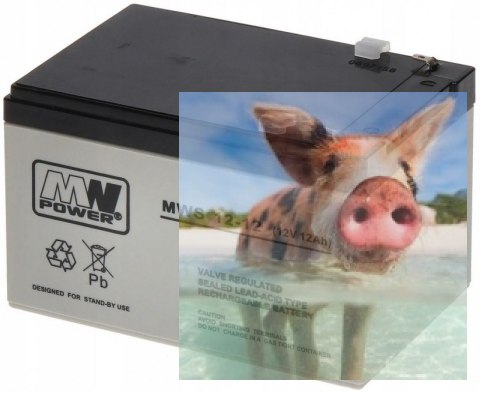 Pb 12V 12Ah bezobsługowy (waga 3.25kg, max. prąd ład. 4A)
