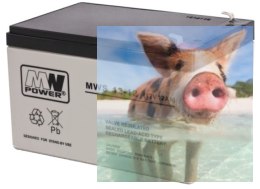 Pb 12V 12Ah bezobsługowy (waga 3.25kg, prąd ład. 4A, prąd rozład. 135A)