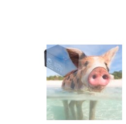 Pb 12V 12Ah bezobsługowy (waga 3.2kg)