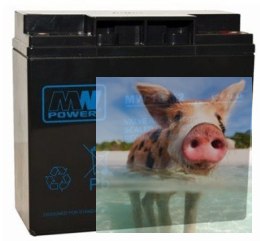 Pb 12V 18Ah bezobsługowy (waga 5.7kg, max. prąd ład. 5.5A, max. prąd rozład. 195A)