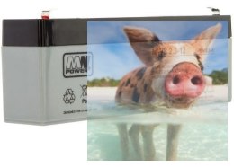 Pb 12V 2.3Ah bezobsługowy (waga 1.05kg, max. prąd ład. 0.7A, max. prąd rozład. 250A)