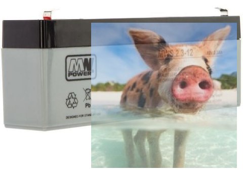 Pb 12V 2.3Ah bezobsługowy (waga 1.05kg, max. prąd ład. 0.7A, max. prąd rozład. 250A)