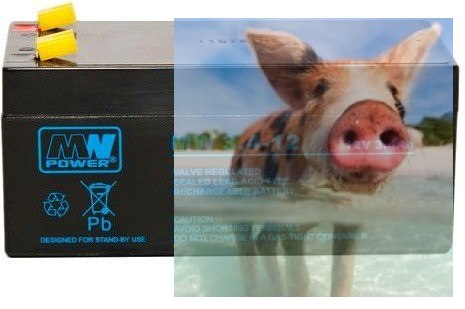 Pb 12V 3.4Ah bezobsługowy (waga 1.38 kg, max. prąd ład. 0.95A, max. prąd rozład. 35A)