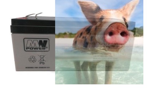 Pb 12V 3.4Ah bezobsługowy (waga 1.3kg, max. prąd ład. 0.95A, max. prąd rozład. 35A)