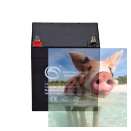 Pb 12V 5Ah bezobsługowy (waga 1.45kg)