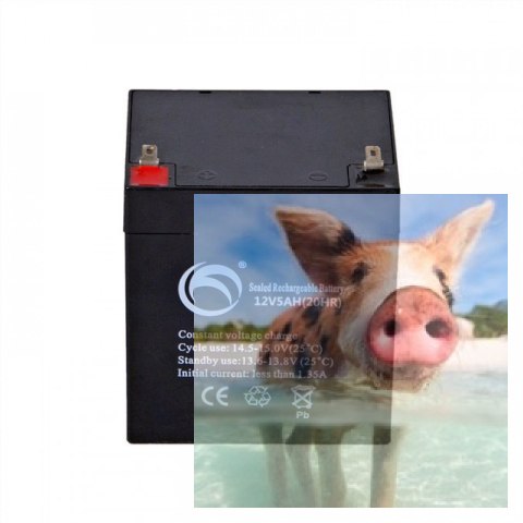 Pb 12V 5Ah bezobsługowy (waga 1.45kg)