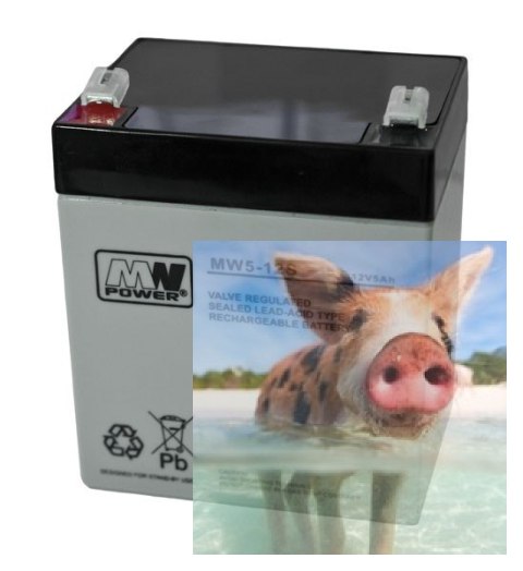 Pb 12V 5Ah bezobsługowy (waga 1.4kg, max. prąd ład. 1.5A, max. prąd rozład. 50A)