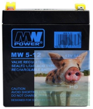 Pb 12V 5Ah bezobsługowy (waga 1.9kg, max. prąd ład. 1.5A, max. prąd rozład. 80A)