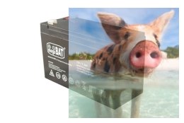 Pb 12V 7.2 Ah bezobsługowy (waga 1.9kg, max. prąd ład. 1.8A)