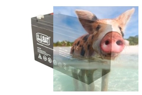 Pb 12V 7.2 Ah bezobsługowy (waga 1.9kg, max. prąd ład. 1.8A)