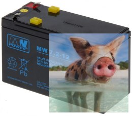 Pb 12V 7.2Ah bezobsługowy (waga 2.45kg, prąd ład. 2.25A, prąd rozład. 100A)