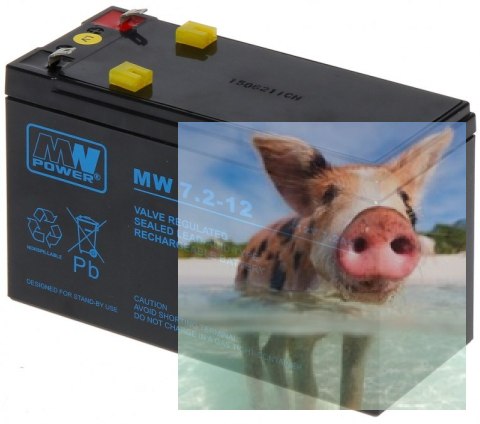 Pb 12V 7.2Ah bezobsługowy (waga 2.45kg, prąd ład. 2.25A, prąd rozład. 100A)