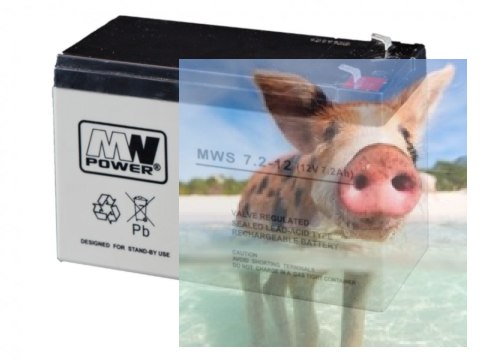 Pb 12V 7.2Ah bezobsługowy (waga 2kg, prąd ład. 2A, prąd rozład. 80A)